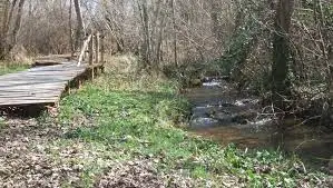 Ruisseau des Fajoles