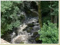 Ruisseau de Lamolde