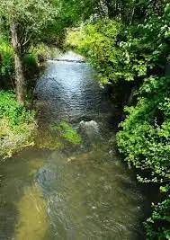 Ruisseau d'Embiargues