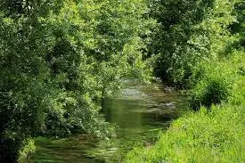 Ruisseau de Laplanquette
