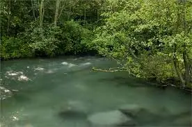 Ruisseau de la Millière