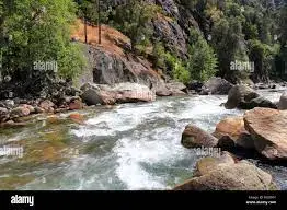 Ruisseau des Rousties