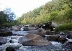 Ruisseau de la Teulière