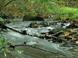 Ruisseau des Vergnes