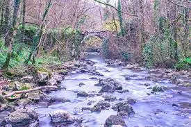 Béal de Lavayssière