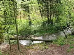 Ruisseau de Largentié