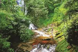 Ruisseau de Lamourière