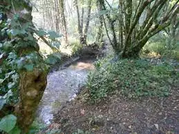 Ruisseau des Escambous