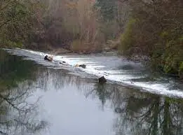 Ruisseau de Pissayrol