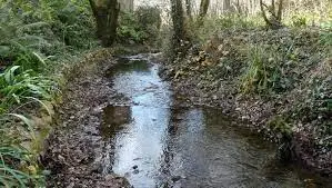 Ruisseau de Planioles