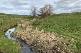 Ruisseau des Boulottes