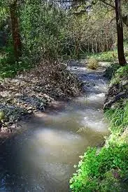Ruisseau de la Ramat
