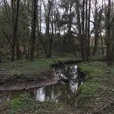 Ruisseau de Baudenque