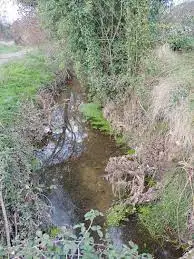 Ruisseau de Combe Rantès