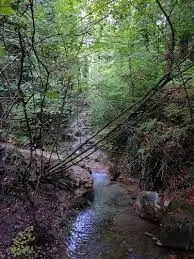 Ruisseau de Bondoire