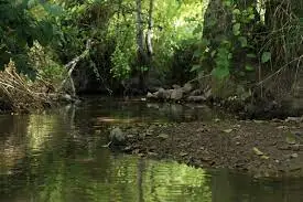 Ruisseau de Boissières