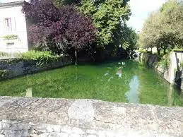 Ruisseau de Calamane