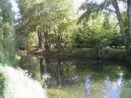 Ruisseau de Cazes