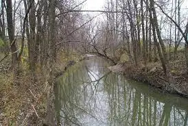 Ruisseau de la Masse