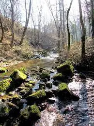 Ruisseau des Combelles