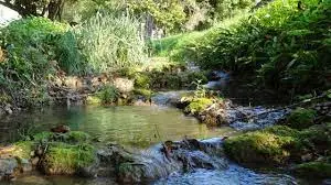 Ruisseau de Dégagnazès