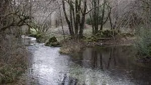 Ruisseau de Nouaillac
