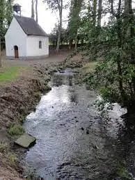 Pêche Ruisseau de Saint-Georges