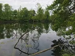 Gravières de la Guierle