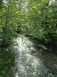 Ruisseau d'Esquerdes