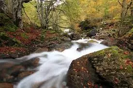 Ruisseau de Lascoutures