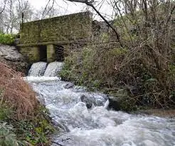 Ruisseau des Poulets