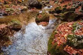 Ruisseau de l'Ostière