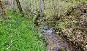 Ruisseau de Pachère