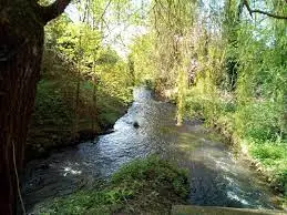 Ruisseau du Mayne Néou
