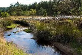 Ruisseau de Labarrière