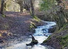 Ruisseau de Lagravette