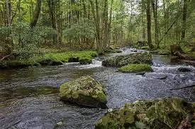 Ruisseau de Lorgatoire