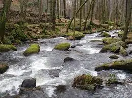 Ruisseau de Lacombe