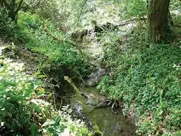 Ruisseau de Combegarou