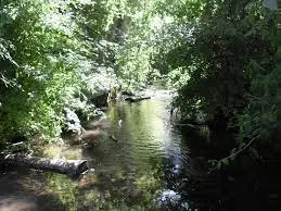 Ruisseau de la Honrède