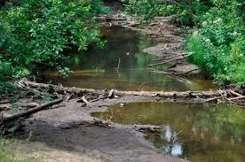 Ruisseau de Saumenègre