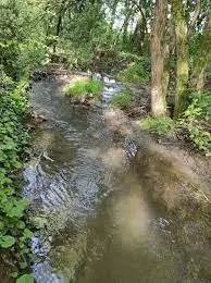 Ruisseau de Mayne Néou
