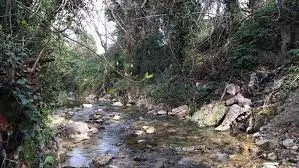 Ruisseau de la Tuillière