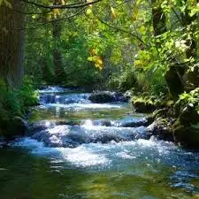 Ruisseau de Millebordeaux