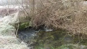 Ruisseau Courant
