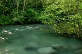 Ruisseau de Bayssiau