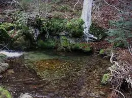 Ruisseau de la Caral