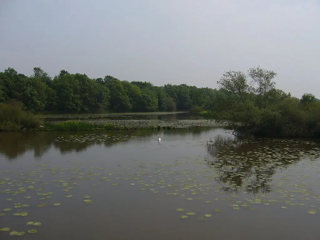 Boire de Champtocé-sur-Loire