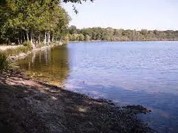 L’étang de Joreau à Gennes