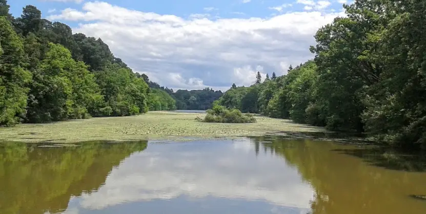 L’étang Saint Nicolas à Angers